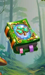 Book Of Lucky Mr Patrick